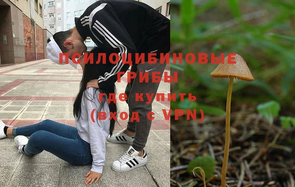 прущий лед Арсеньев