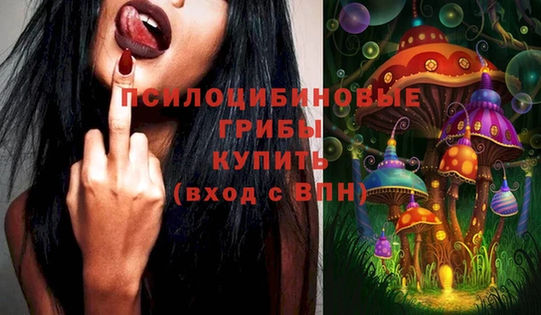 гашик Армянск