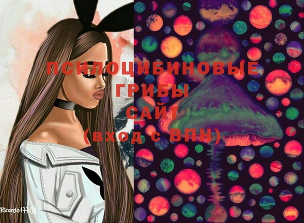 прущий лед Арсеньев